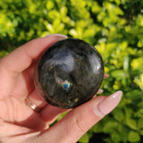 Labradorite Palm Stone (#273) - Simply Affinity