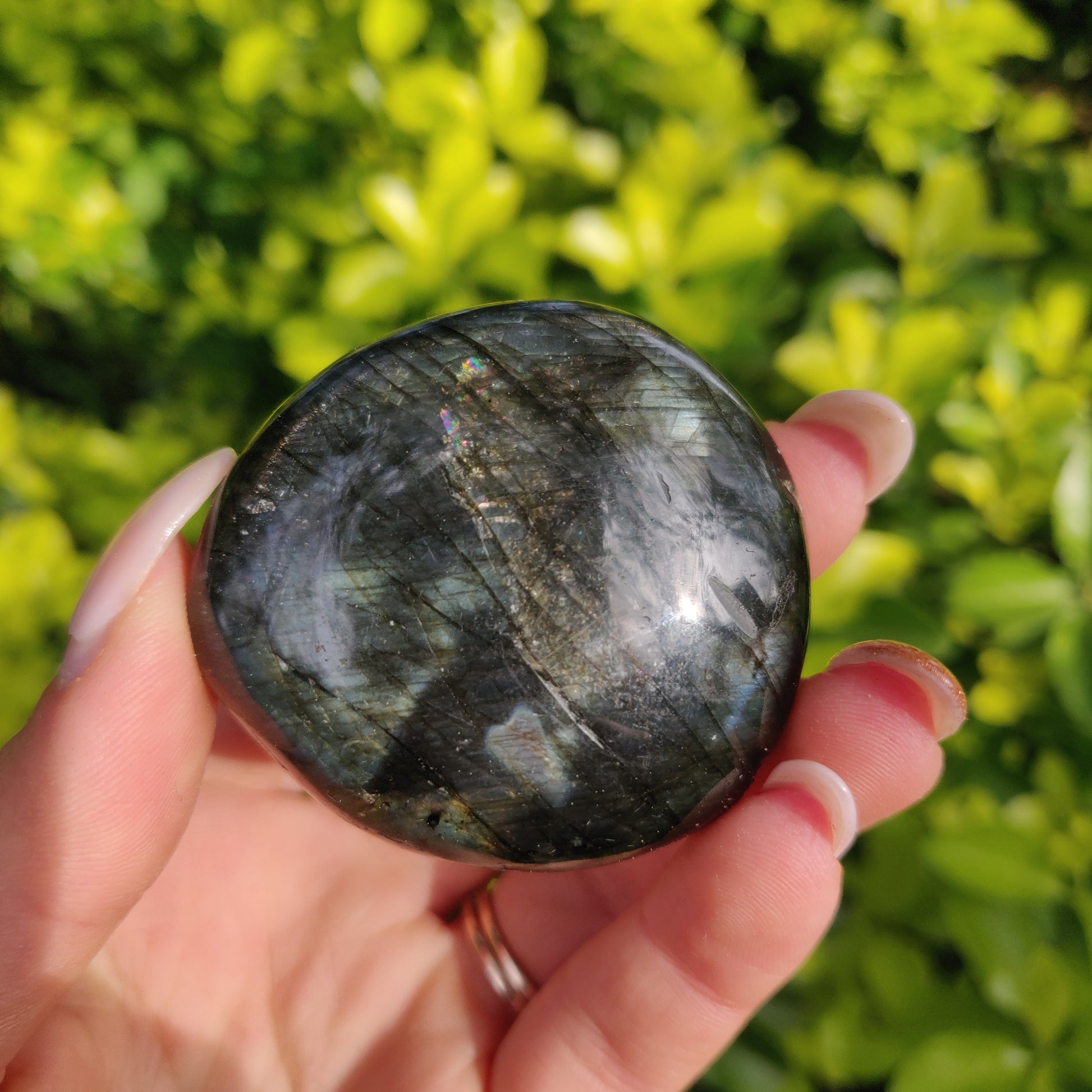 Labradorite Palm Stone (#283) - Simply Affinity
