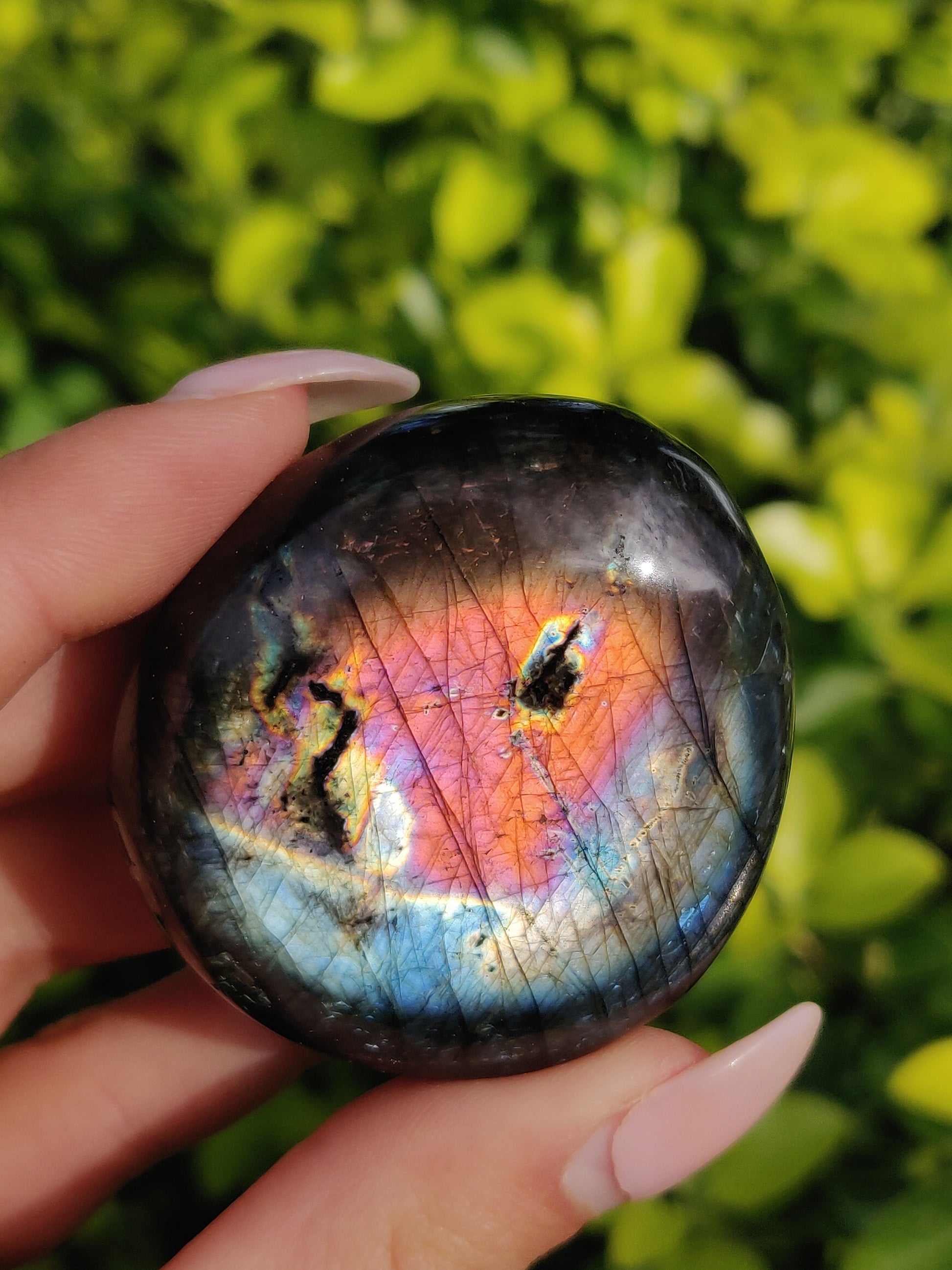 Labradorite Palm Stone (#283) - Simply Affinity