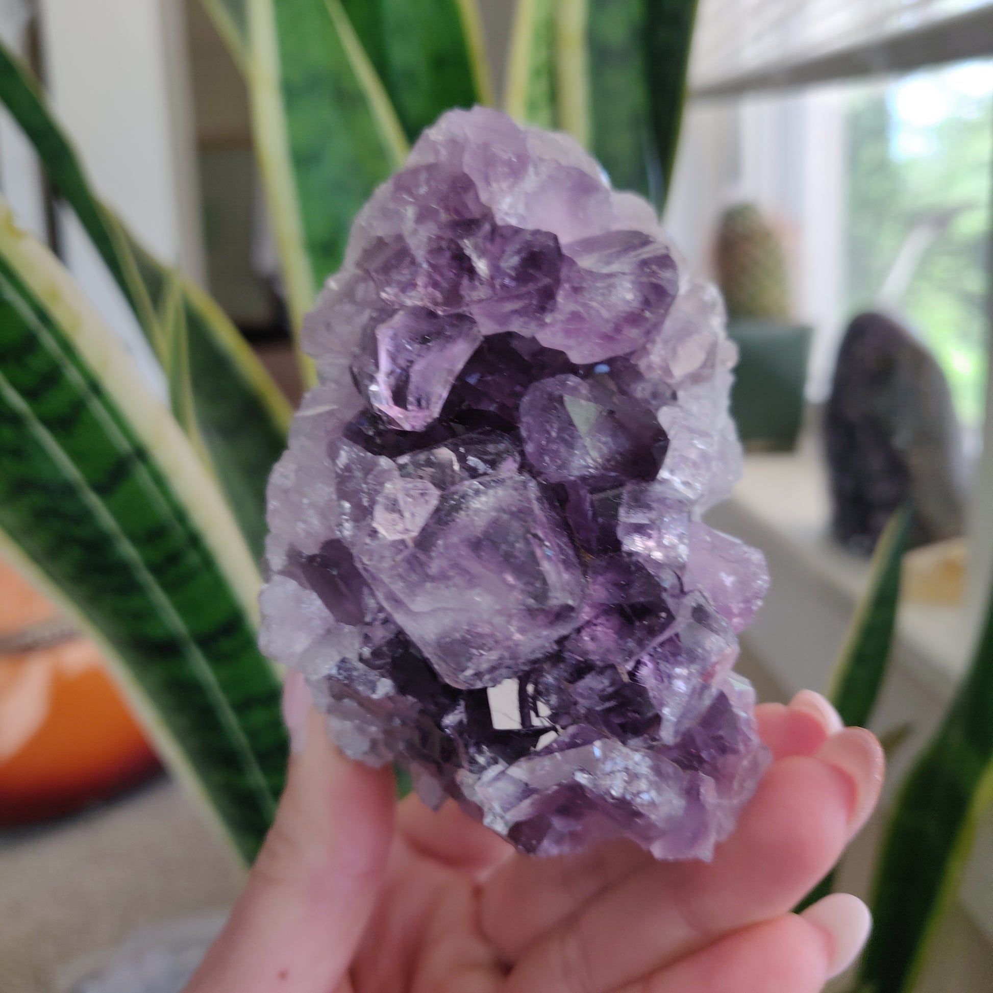 Amethyst Geode Free Form, Cut Base (#18) - Simply Affinity