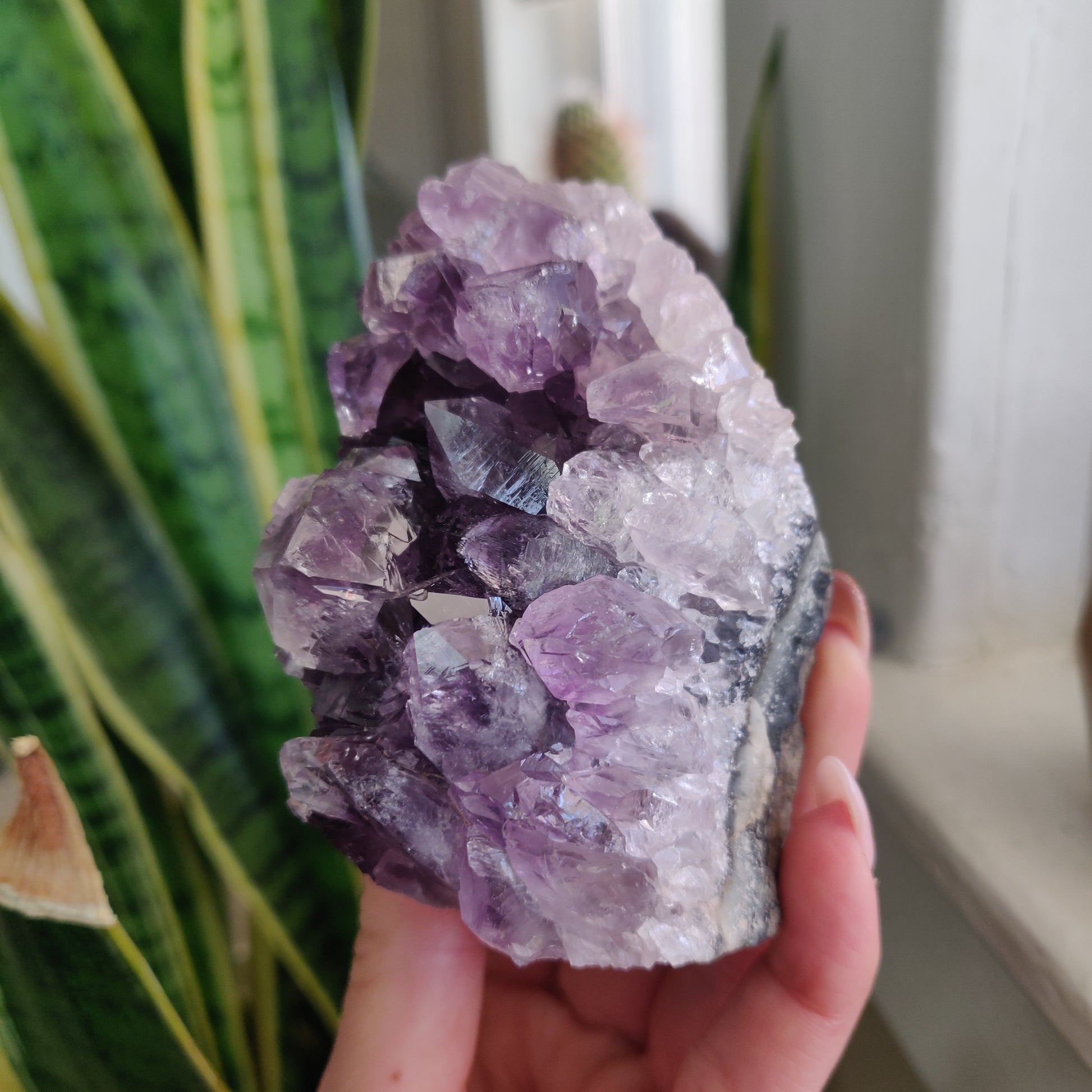 Amethyst Geode Free Form, Cut Base (#18) - Simply Affinity