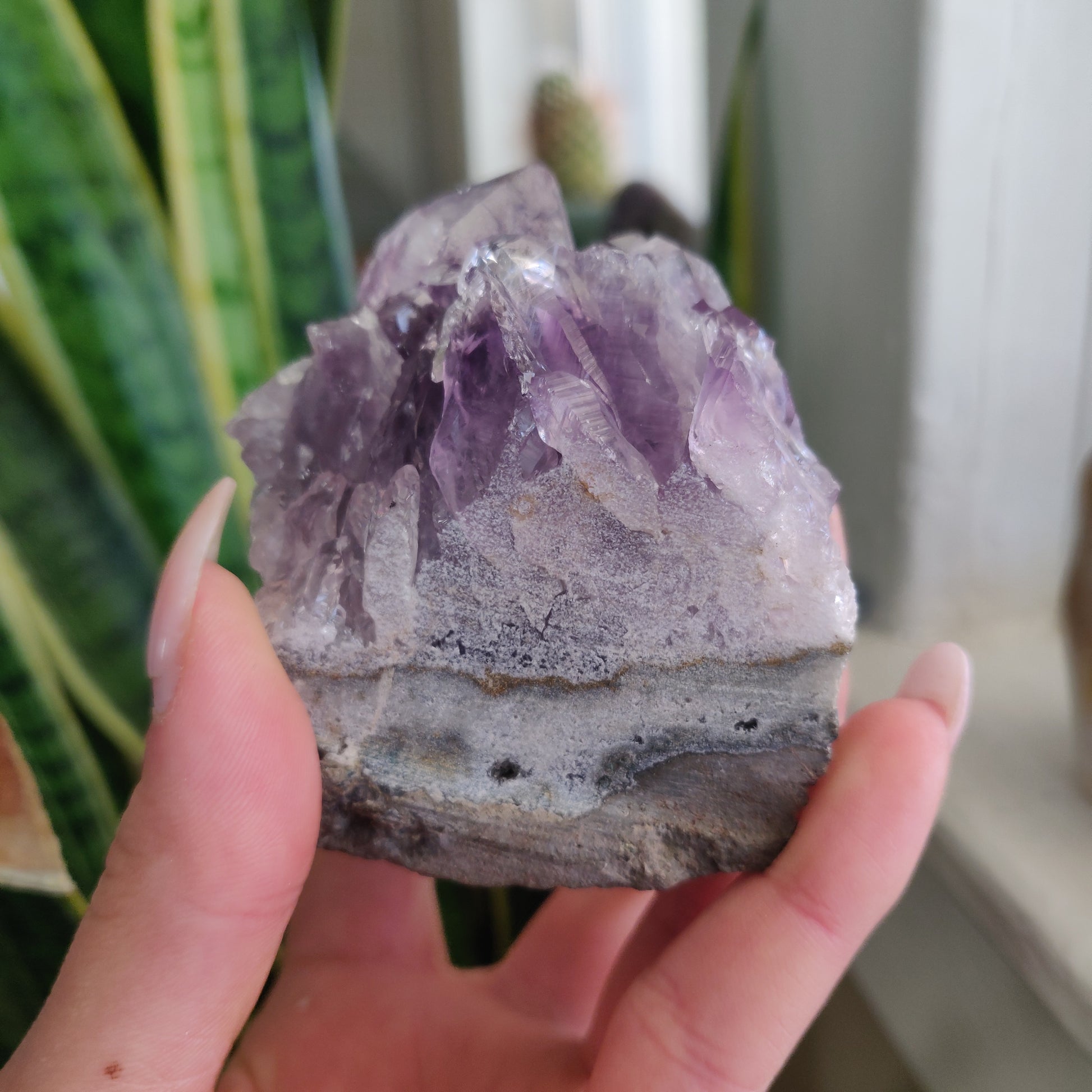 Amethyst Geode Free Form, Cut Base (#18) - Simply Affinity