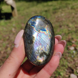 Labradorite Palm Stone (#300) - Simply Affinity