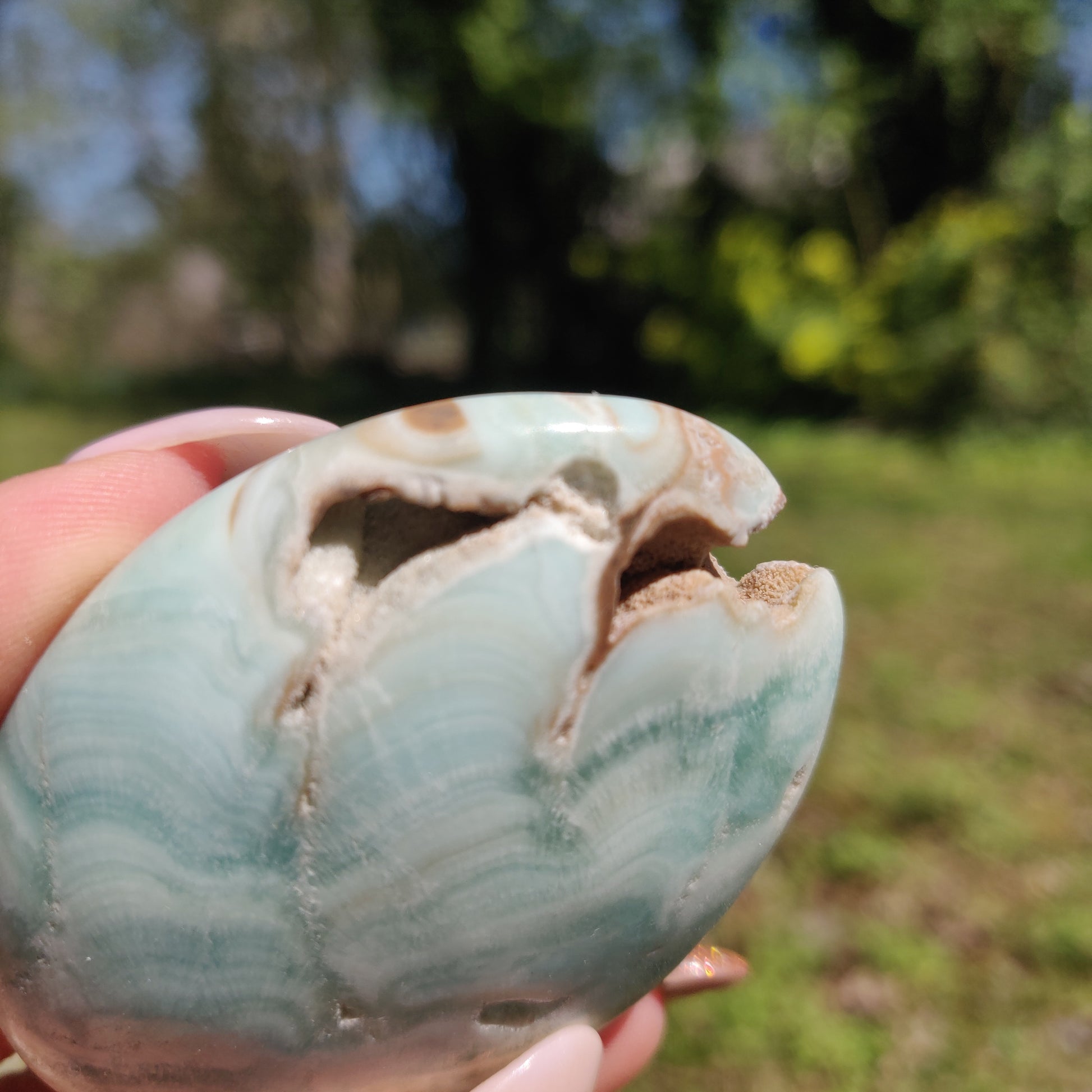 Blue Aragonite Palm Stone (#6) - Simply Affinity