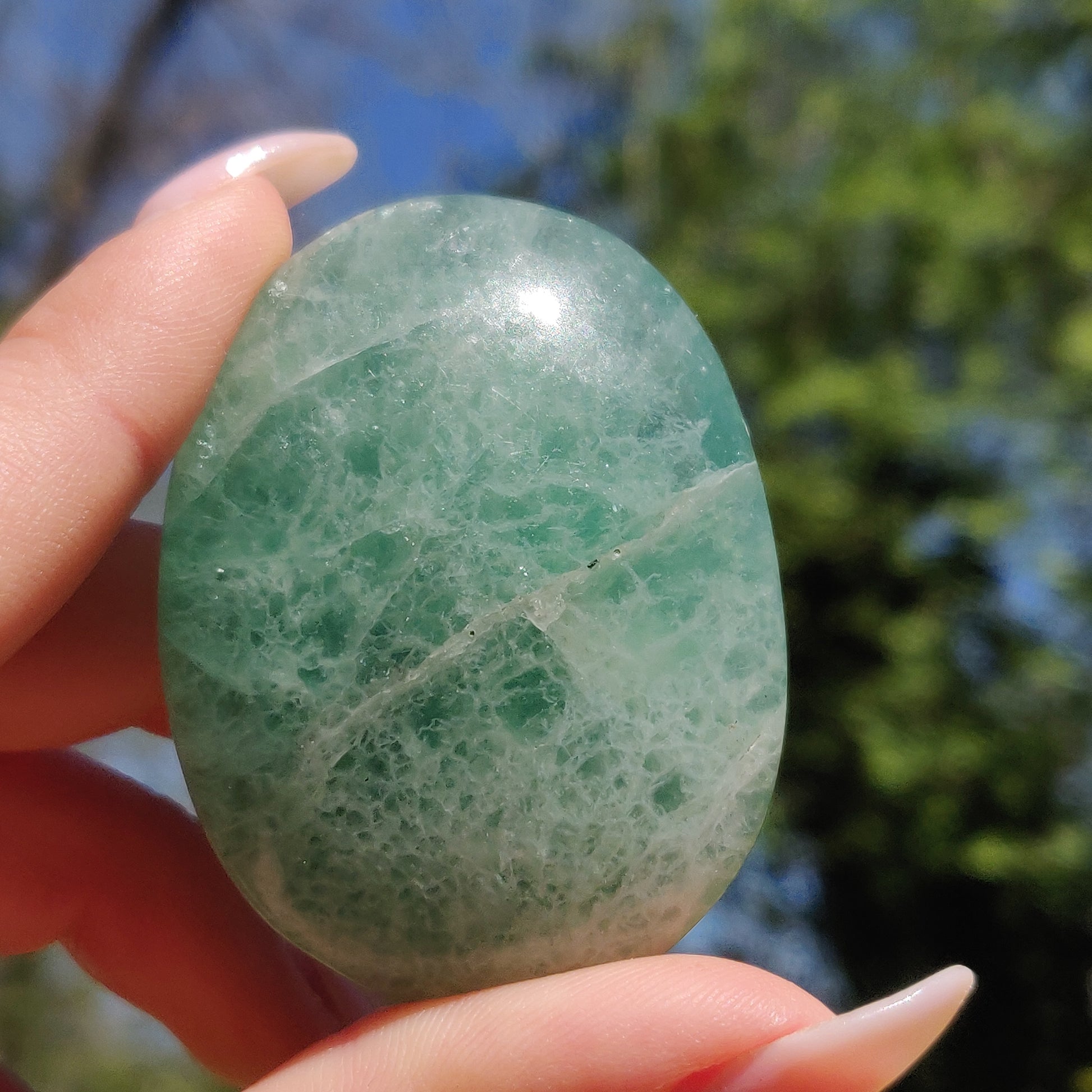 Fluorite Palm Stone (#21) - Simply Affinity