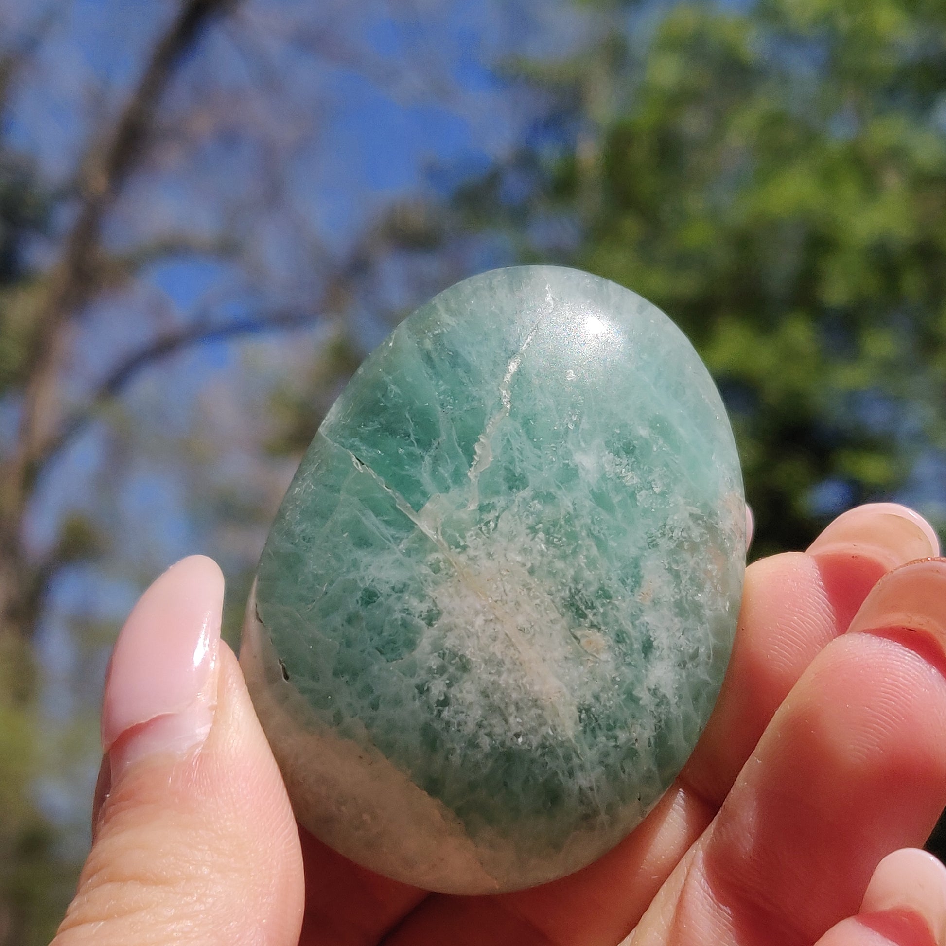 Fluorite Palm Stone (#21) - Simply Affinity