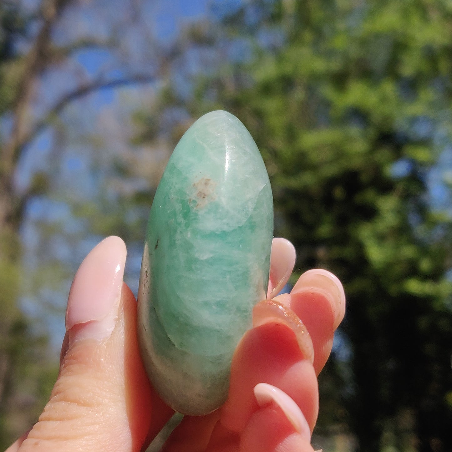 Fluorite Palm Stone (#21) - Simply Affinity