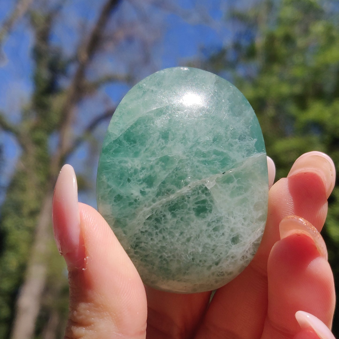 Fluorite Palm Stone (#21) - Simply Affinity