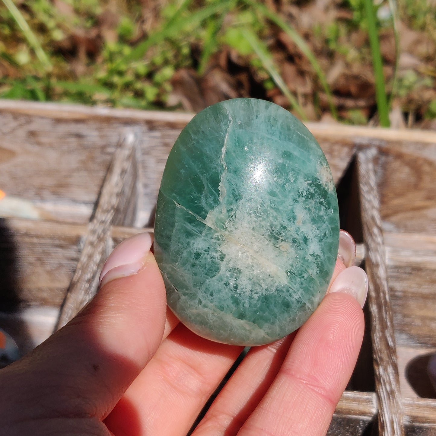 Fluorite Palm Stone (#21) - Simply Affinity