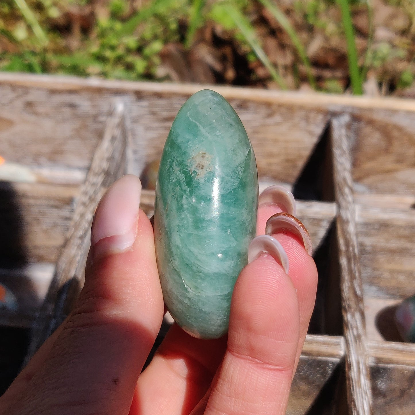 Fluorite Palm Stone (#21) - Simply Affinity