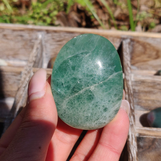 Fluorite Palm Stone (#21) - Simply Affinity