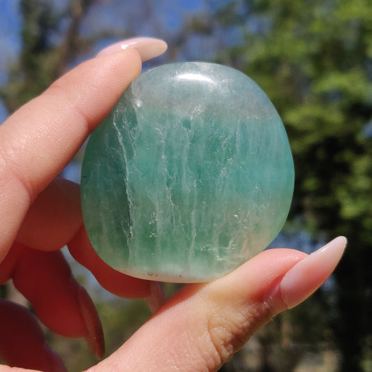 Fluorite Palm Stone (#23) - Simply Affinity