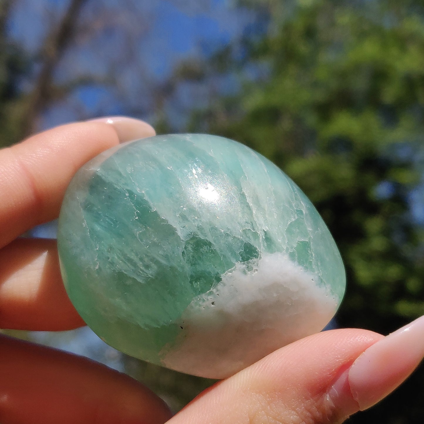Fluorite Palm Stone (#23) - Simply Affinity