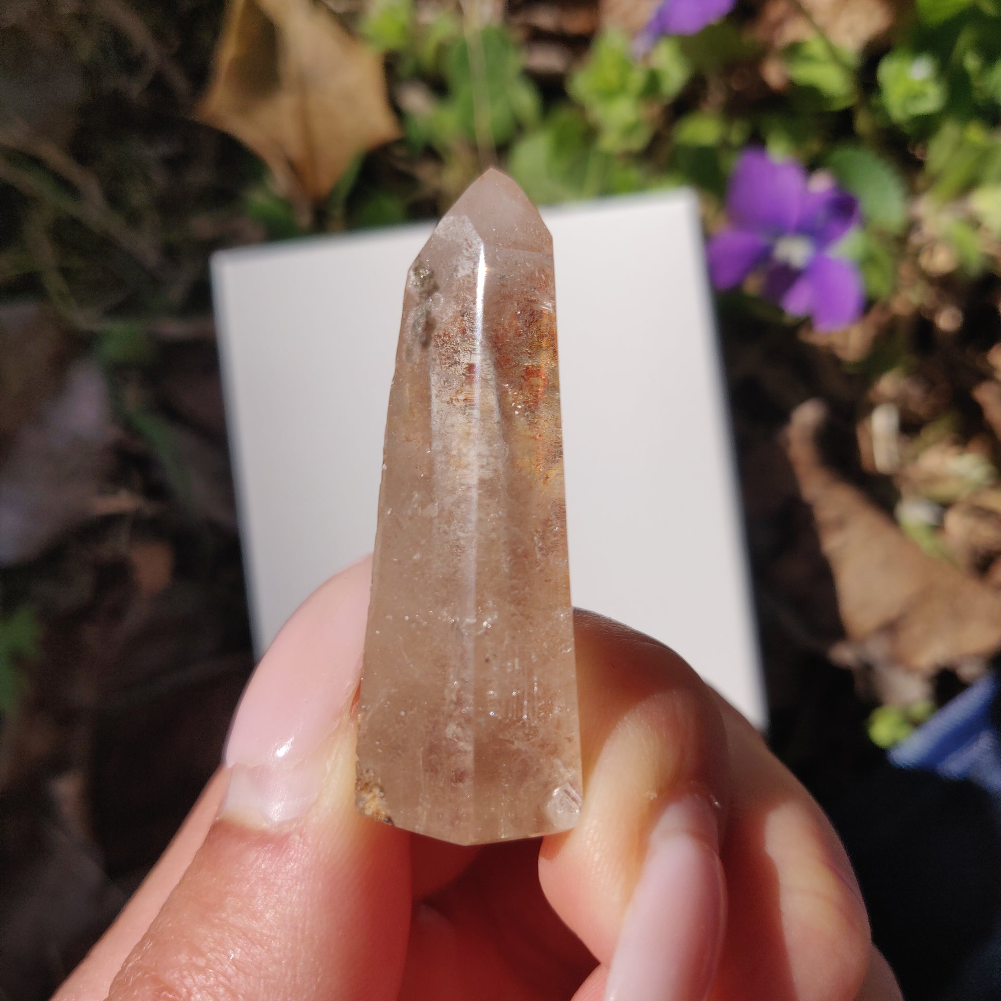 Garden Quartz Point, Lodolite Point (#11G) - Simply Affinity