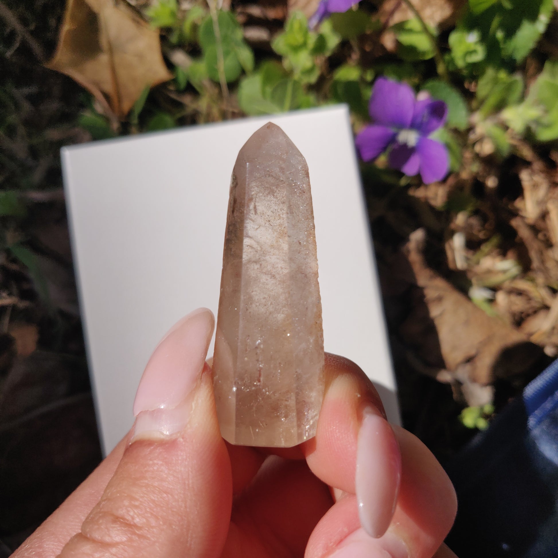 Garden Quartz Point, Lodolite Point (#11G) - Simply Affinity