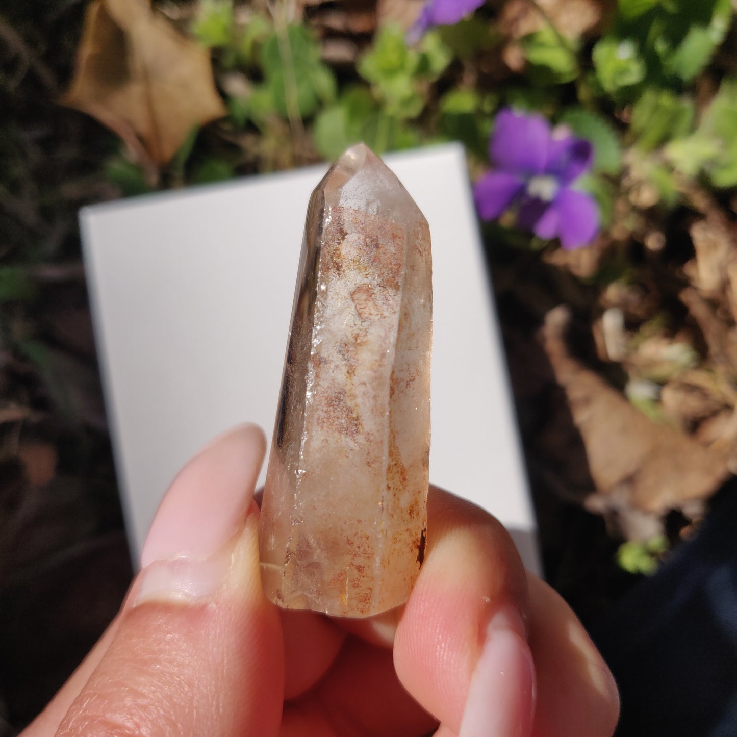 Garden Quartz Point, Lodolite Point (#11G) - Simply Affinity