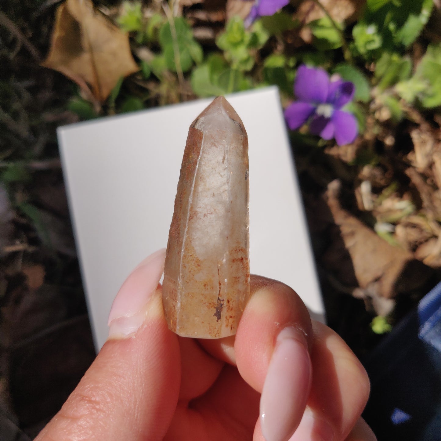 Garden Quartz Point, Lodolite Point (#11G) - Simply Affinity
