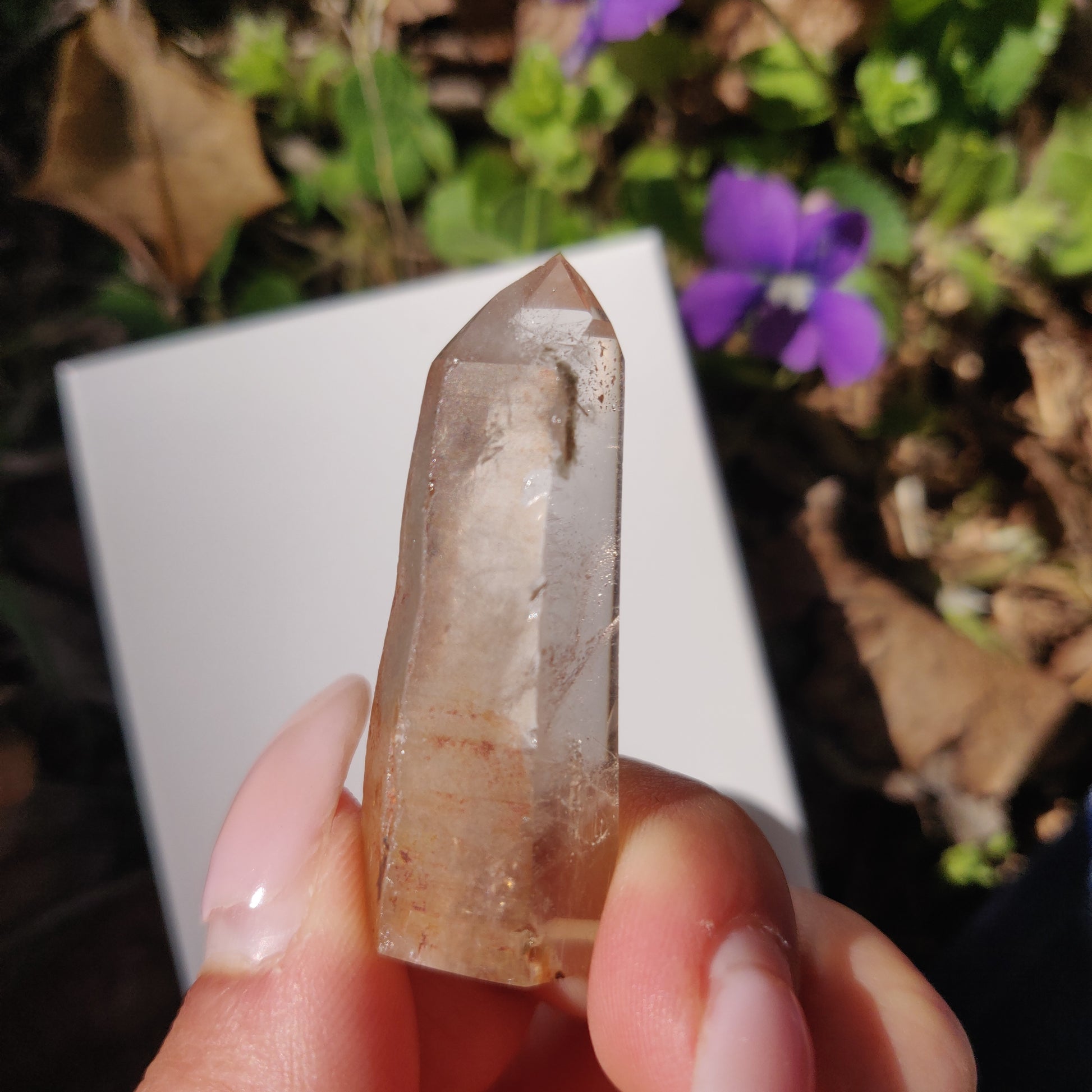 Garden Quartz Point, Lodolite Point (#11G) - Simply Affinity