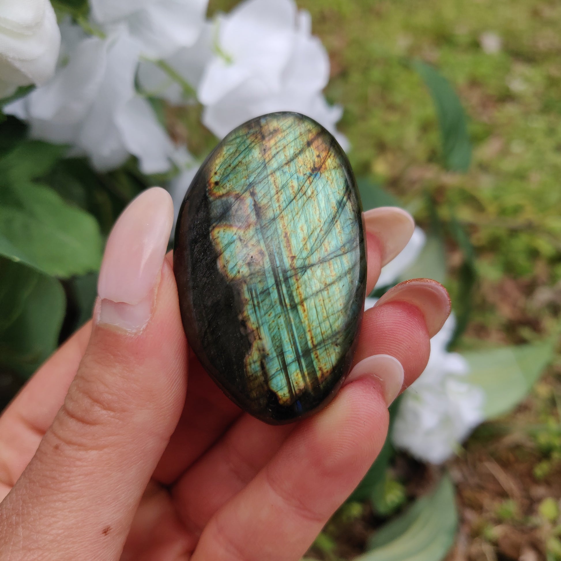 Labradorite Palm Stone (#281) - Simply Affinity