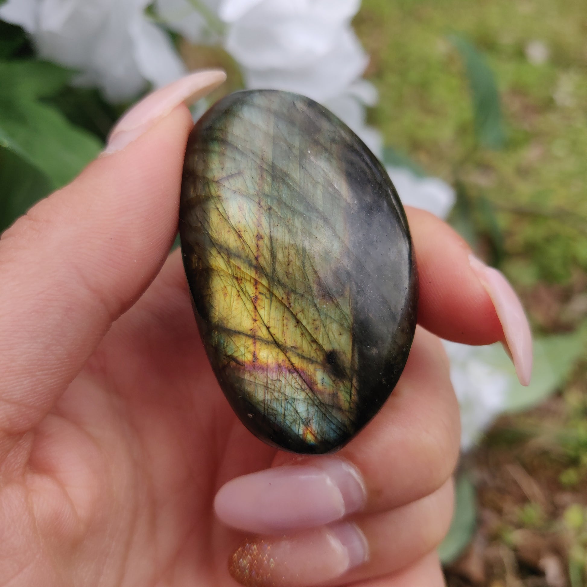 Labradorite Palm Stone (#281) - Simply Affinity