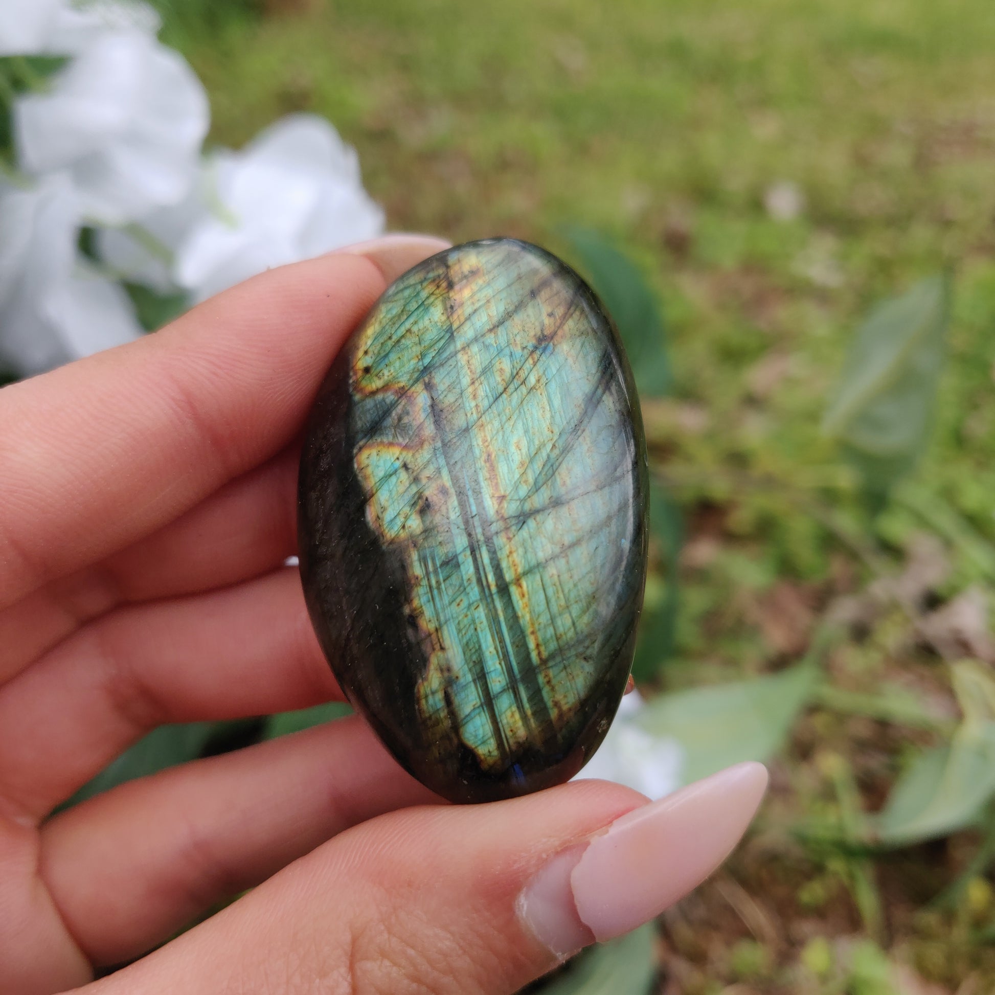 Labradorite Palm Stone (#281) - Simply Affinity