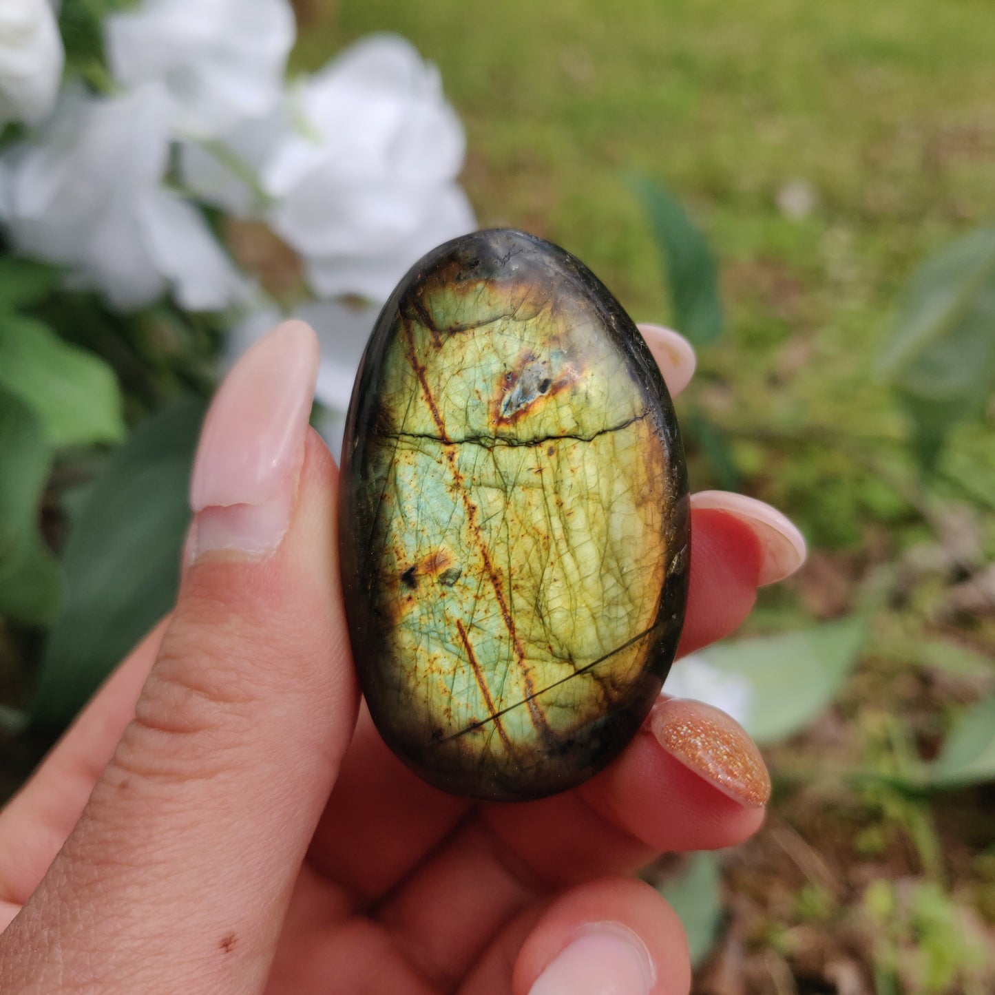 Labradorite Palm Stone (#284) - Simply Affinity