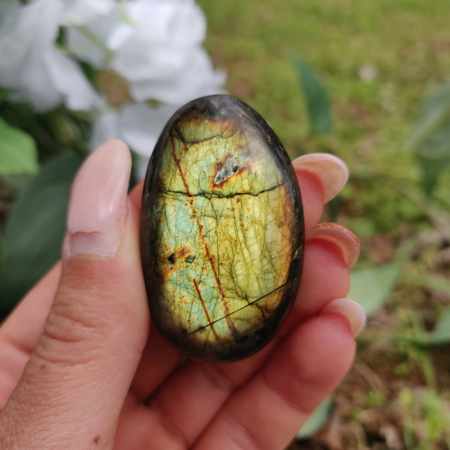 Labradorite Palm Stone (#284) - Simply Affinity
