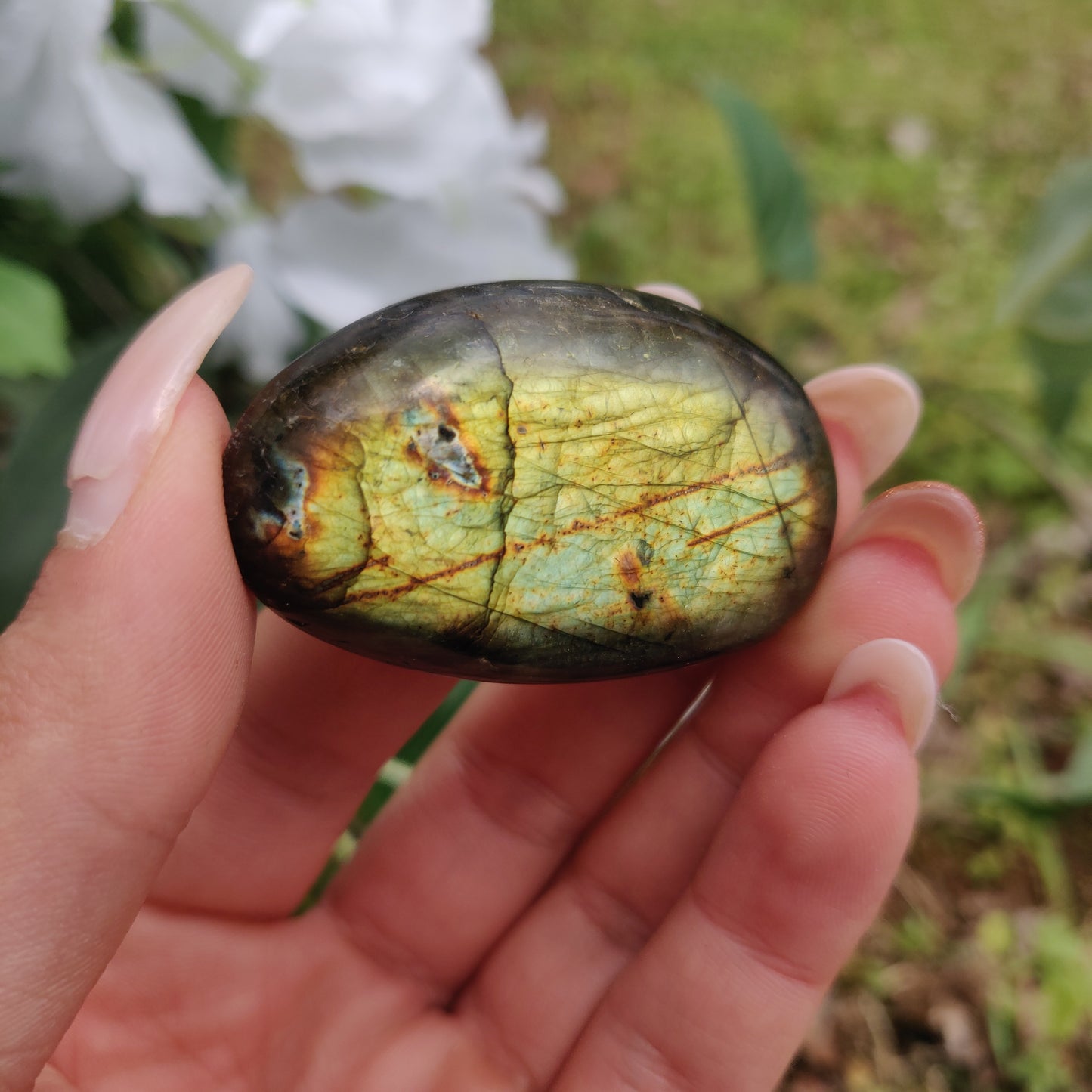 Labradorite Palm Stone (#284) - Simply Affinity