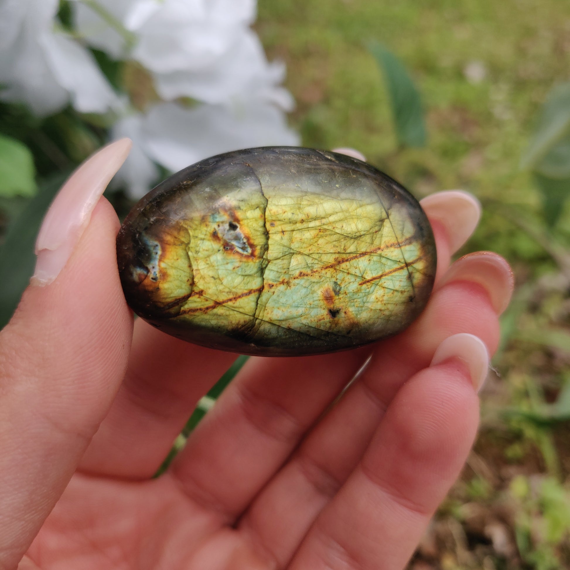 Labradorite Palm Stone (#284) - Simply Affinity