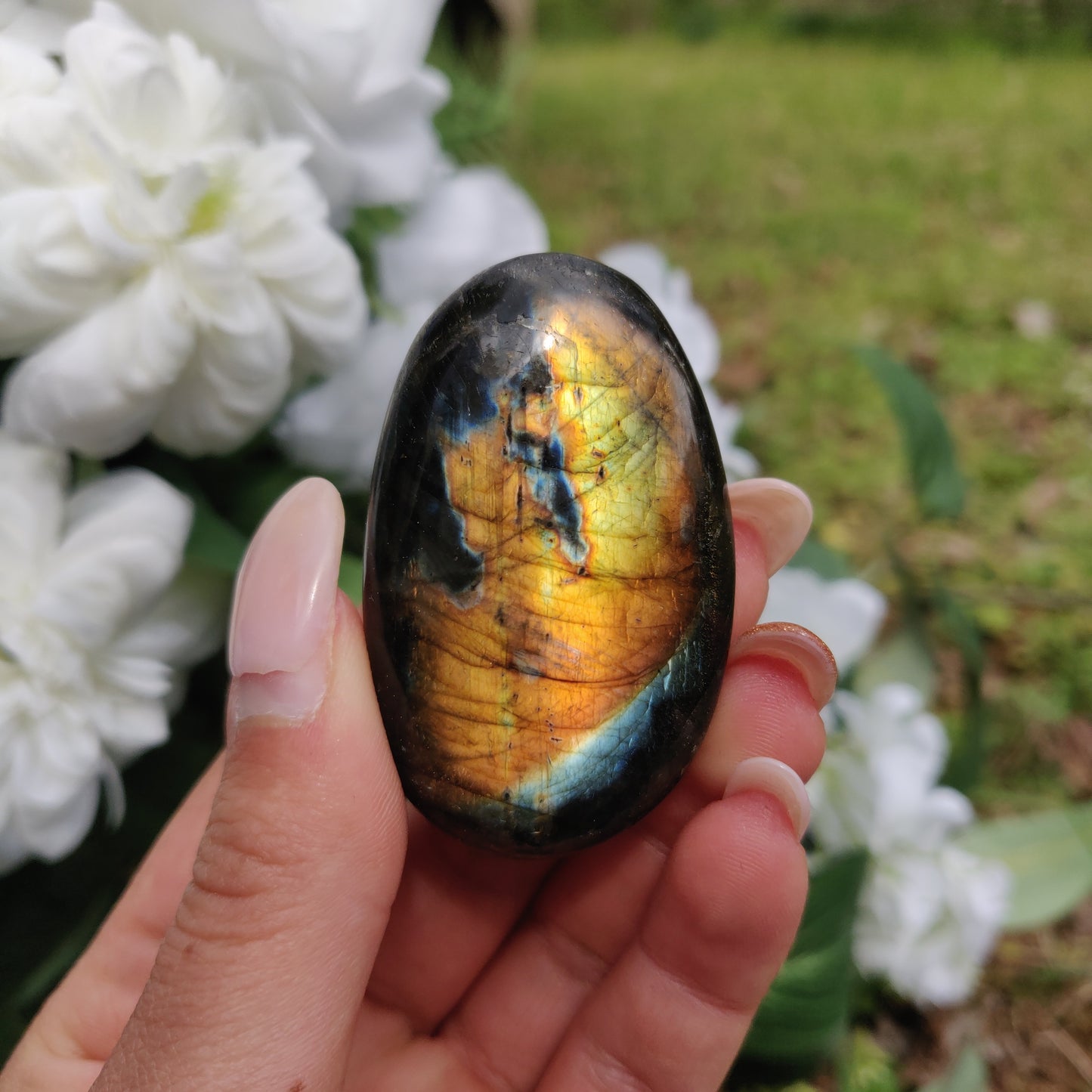 Labradorite Palm Stone (#288) - Simply Affinity