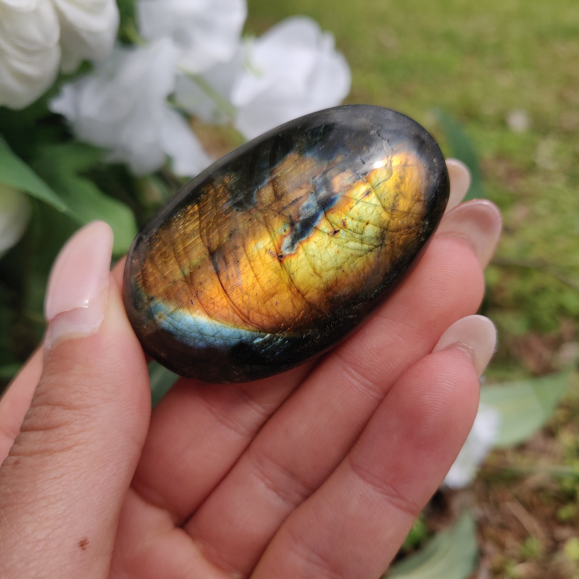 Labradorite Palm Stone (#288) - Simply Affinity