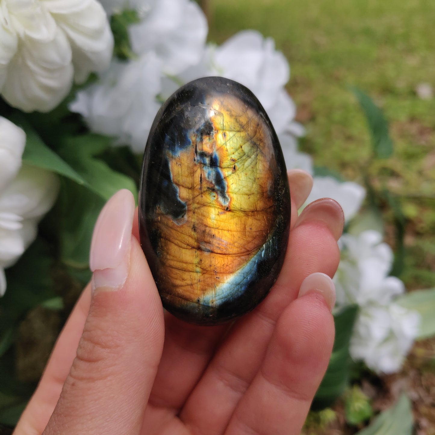Labradorite Palm Stone (#288) - Simply Affinity