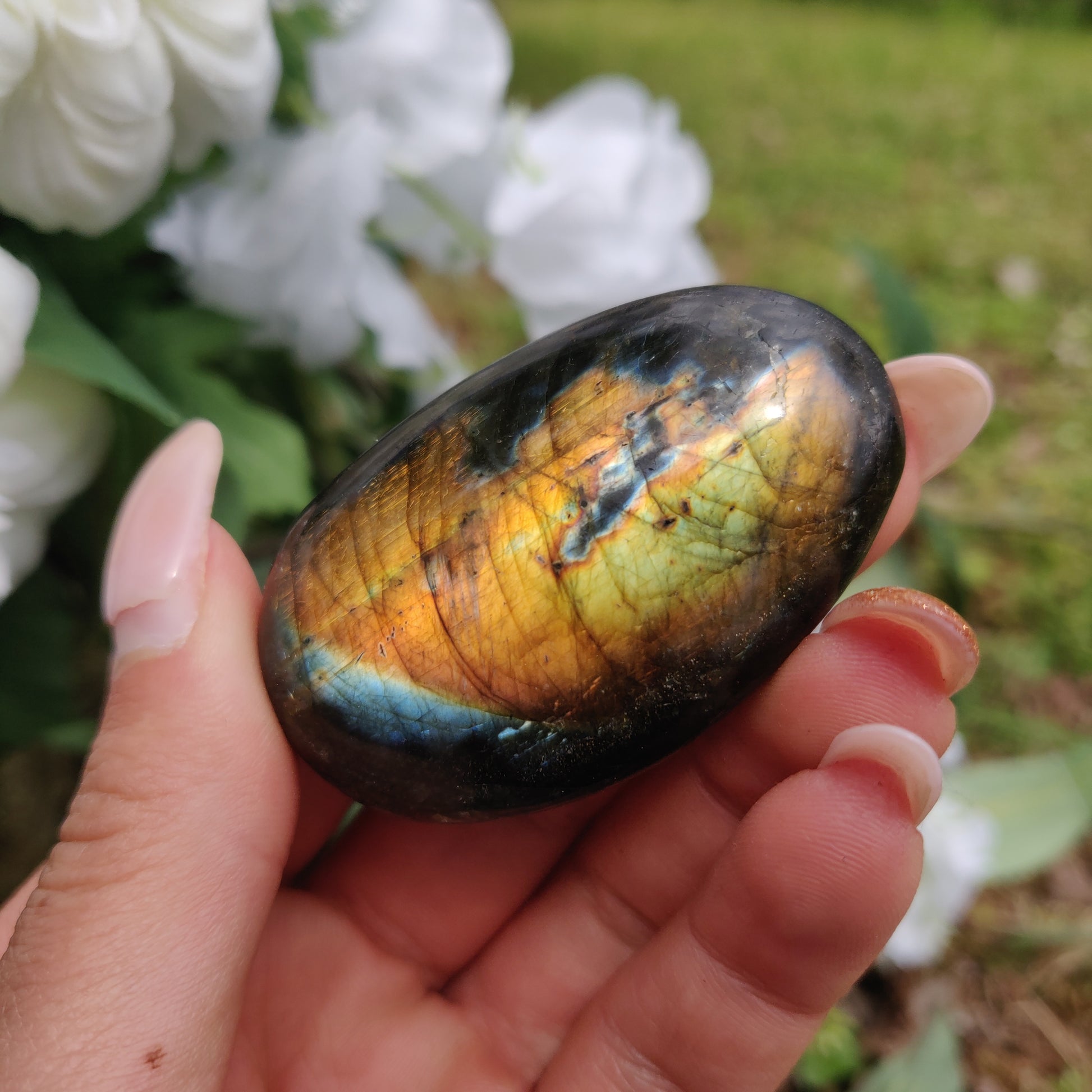 Labradorite Palm Stone (#288) - Simply Affinity