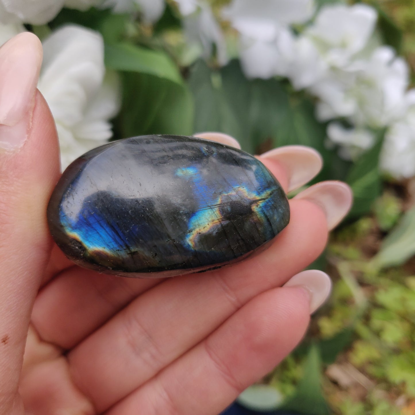 Labradorite Palm Stone (#302) - Simply Affinity