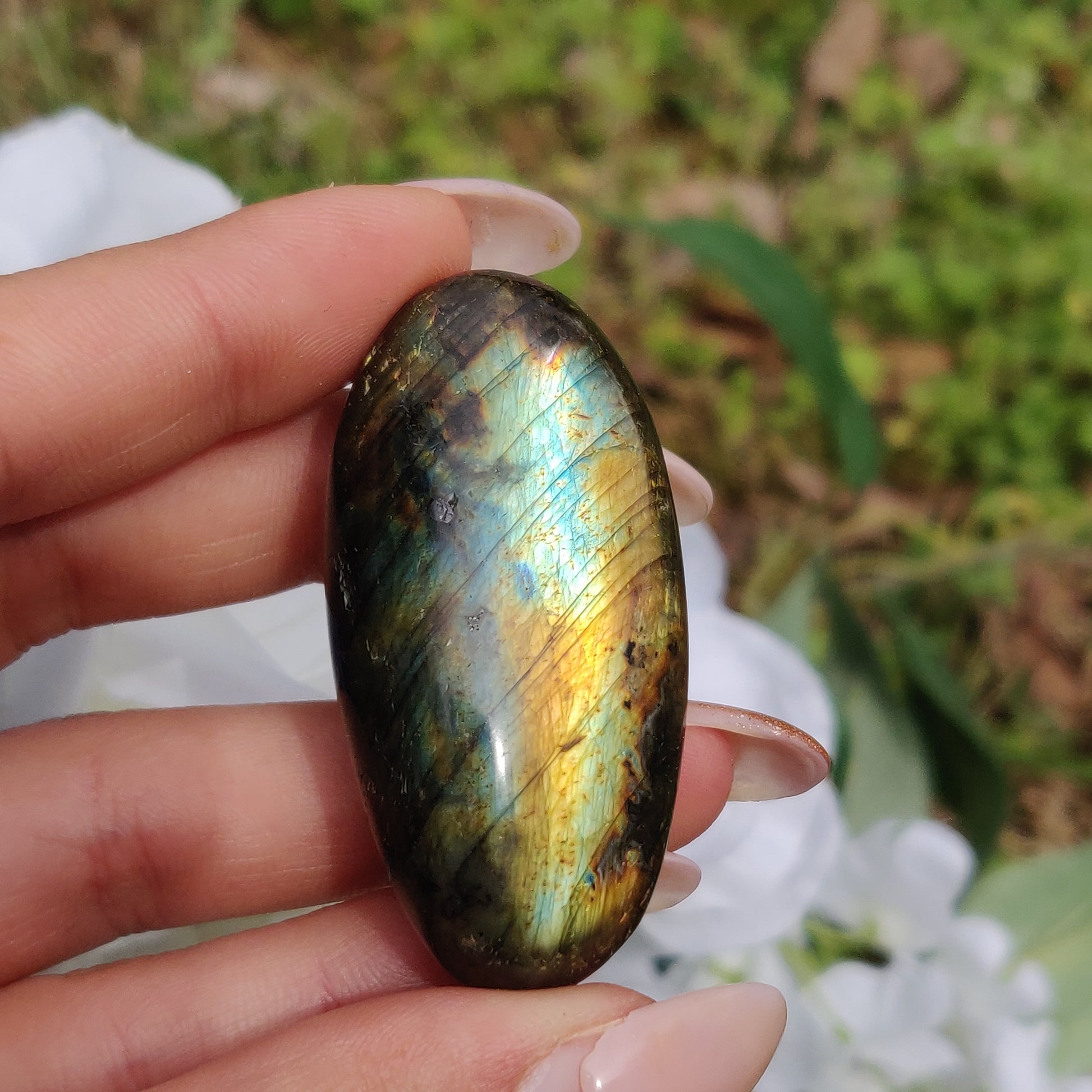 Labradorite Palm Stone (#304) - Simply Affinity