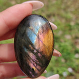 Labradorite Palm Stone (#306) - Simply Affinity