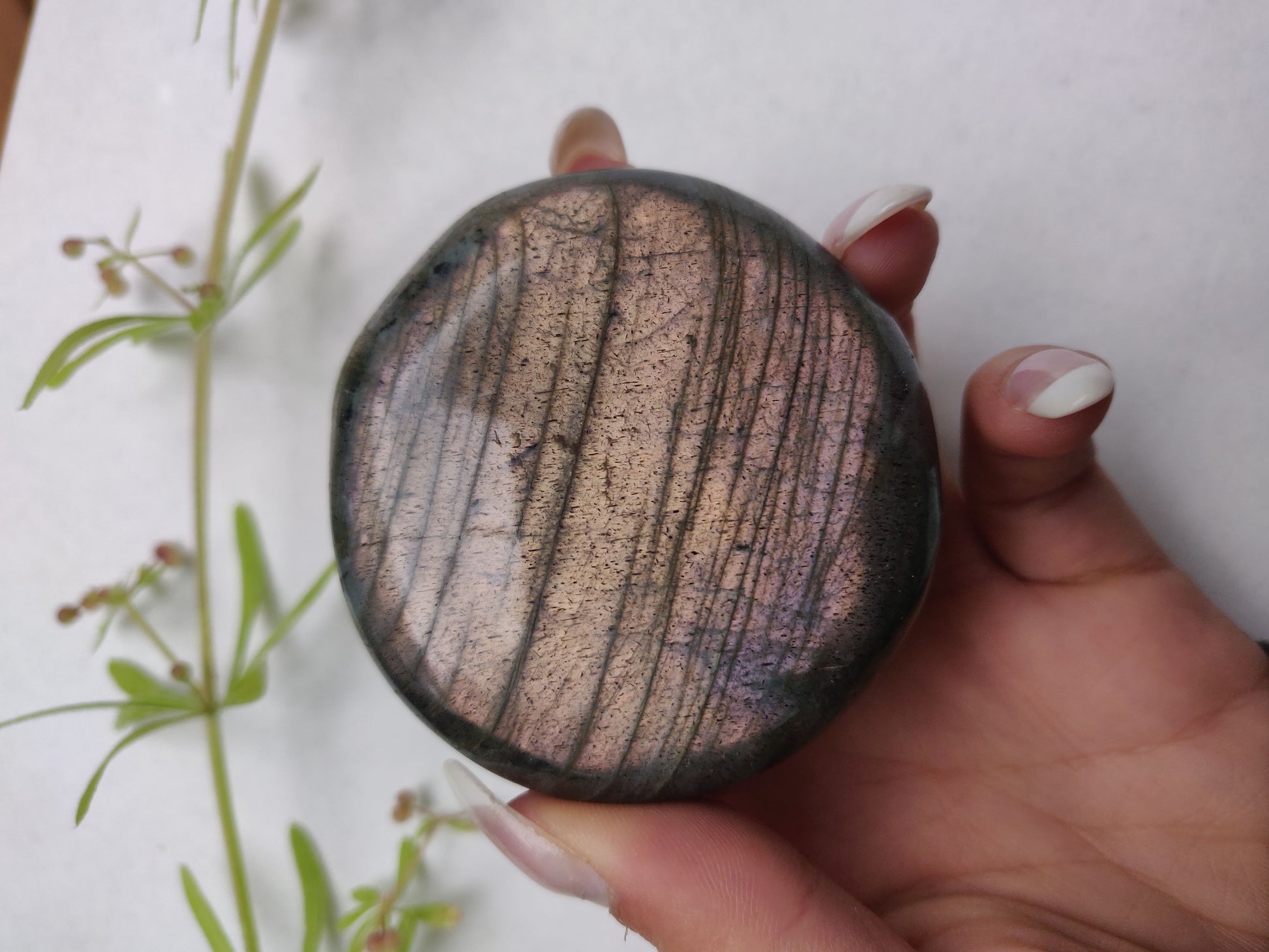 Labradorite Palm Stone (#298) - Simply Affinity