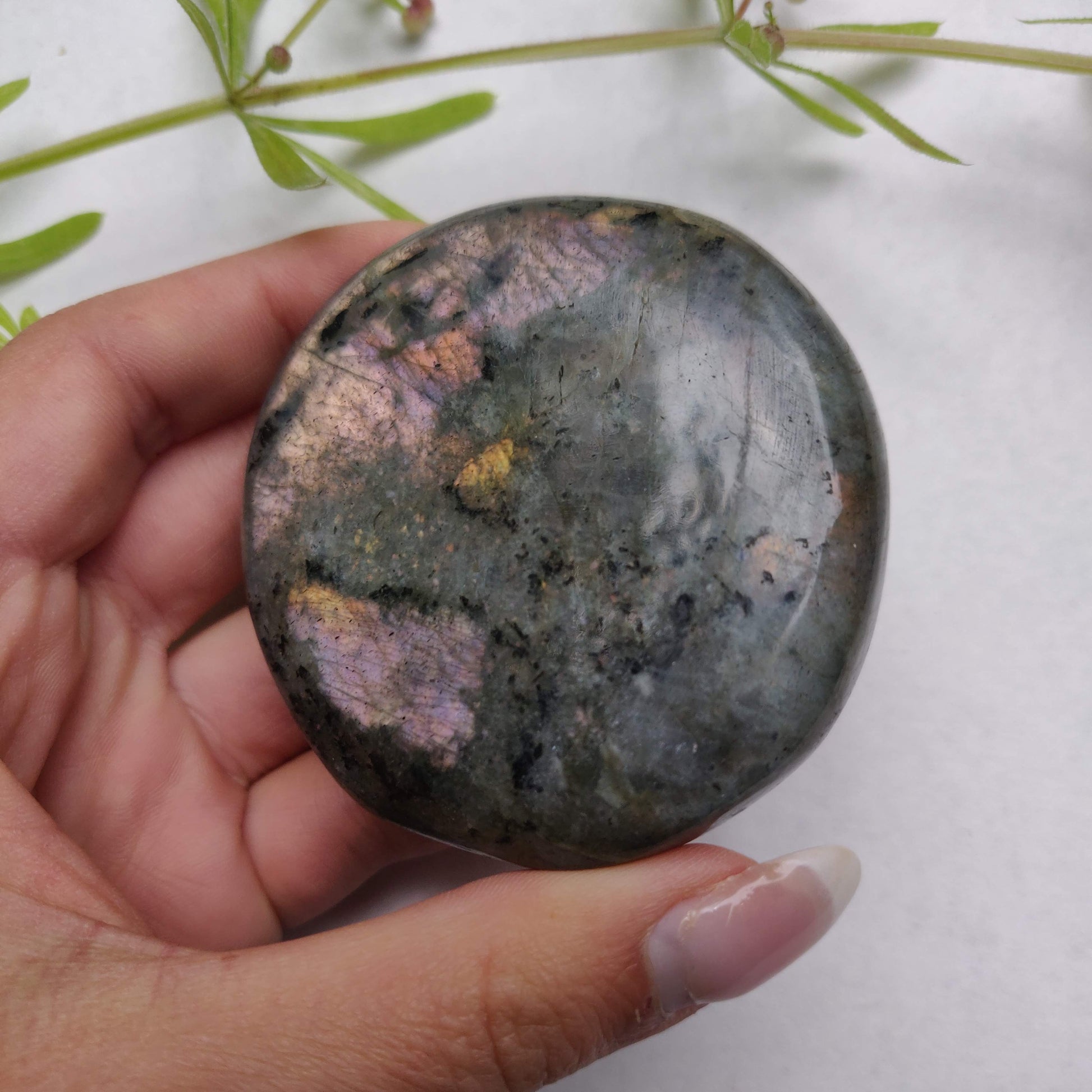 Labradorite Palm Stone (#298) - Simply Affinity