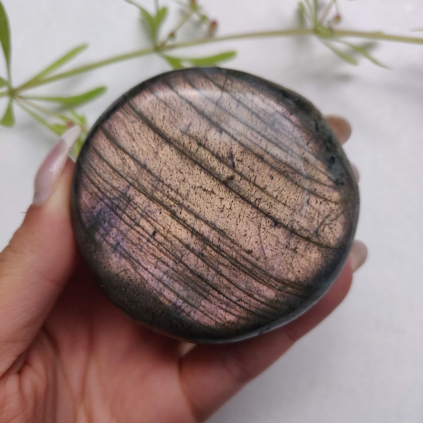 Labradorite Palm Stone (#298) - Simply Affinity