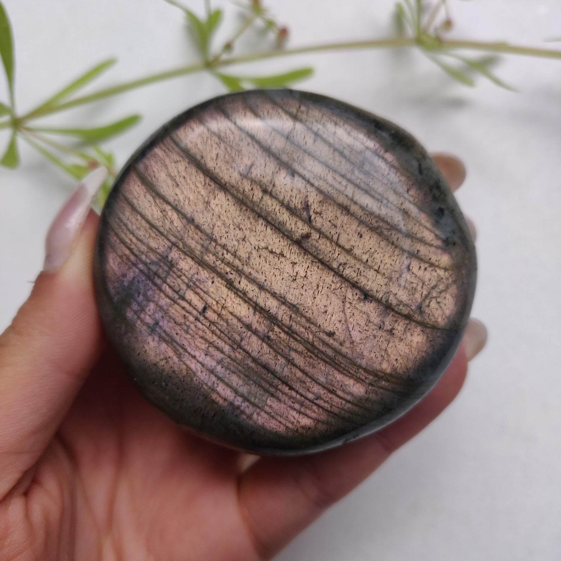Labradorite Palm Stone (#298) - Simply Affinity