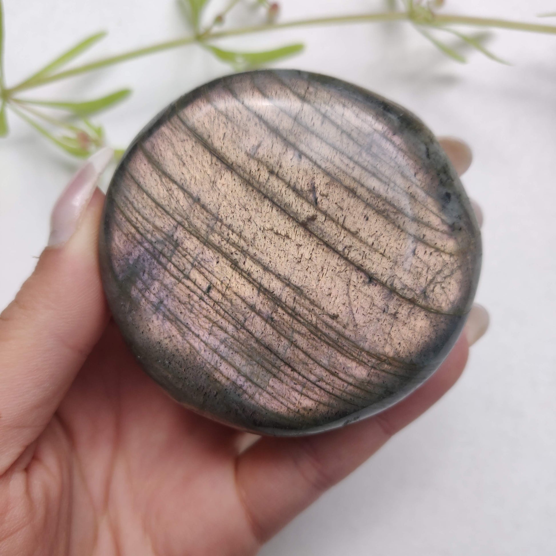 Labradorite Palm Stone (#298) - Simply Affinity