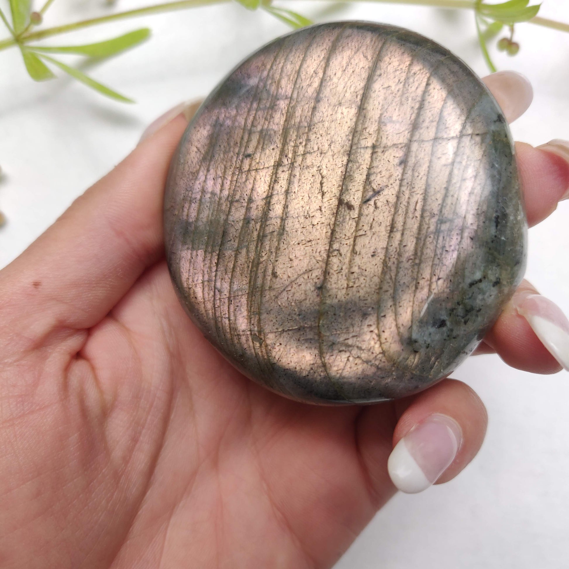 Labradorite Palm Stone (#298) - Simply Affinity