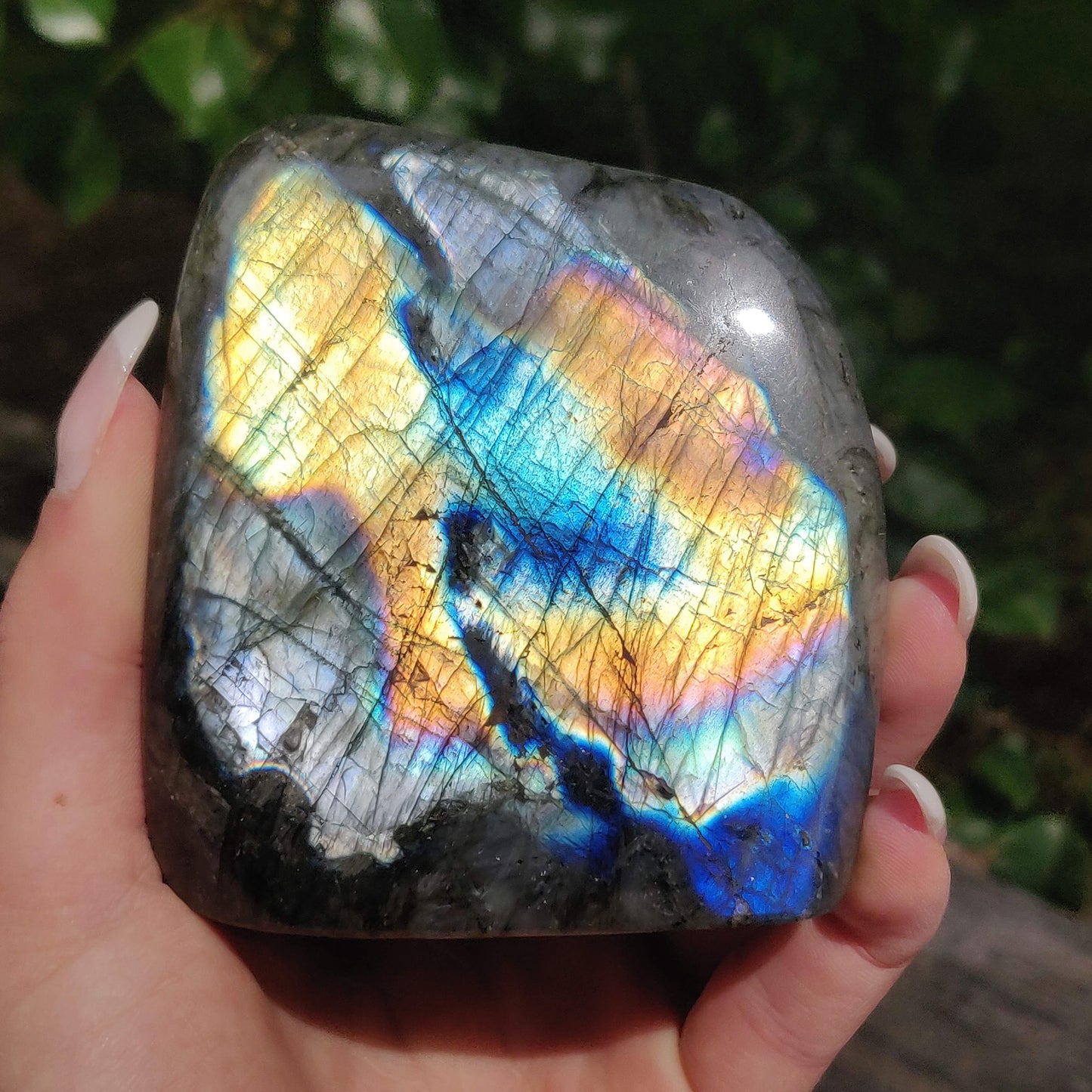 Labradorite Free Form (#M3) - Simply Affinity