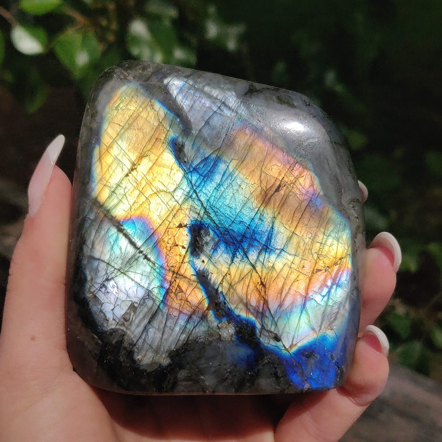 Labradorite Free Form (#M3) - Simply Affinity