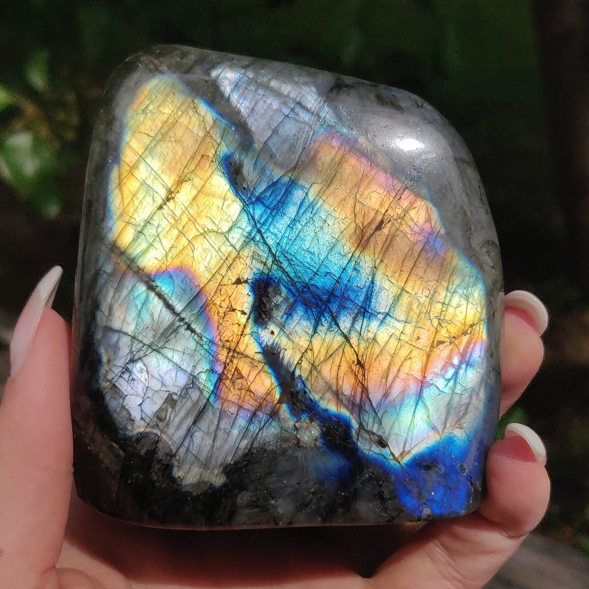 Labradorite Free Form (#M3) - Simply Affinity