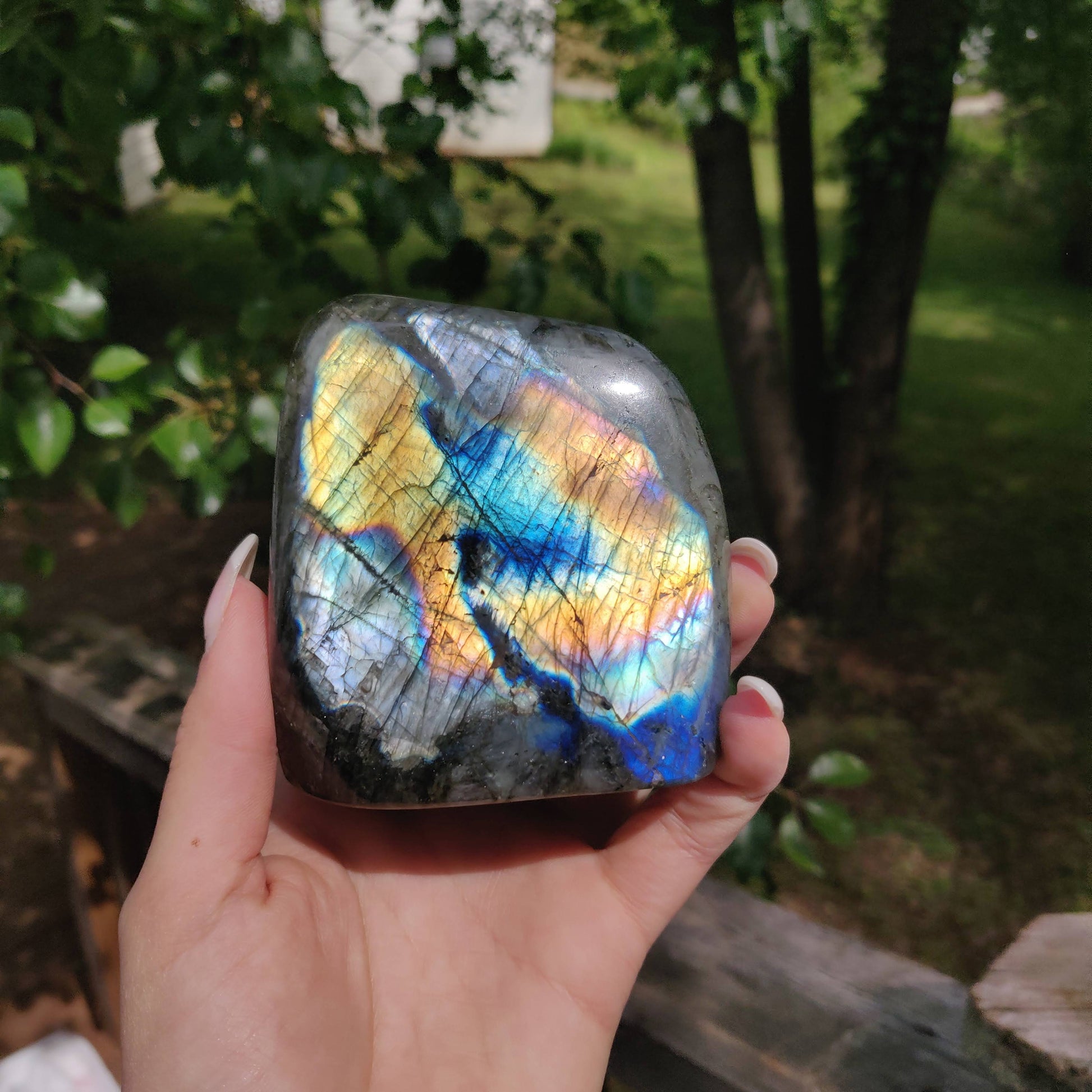 Labradorite Free Form (#M3) - Simply Affinity