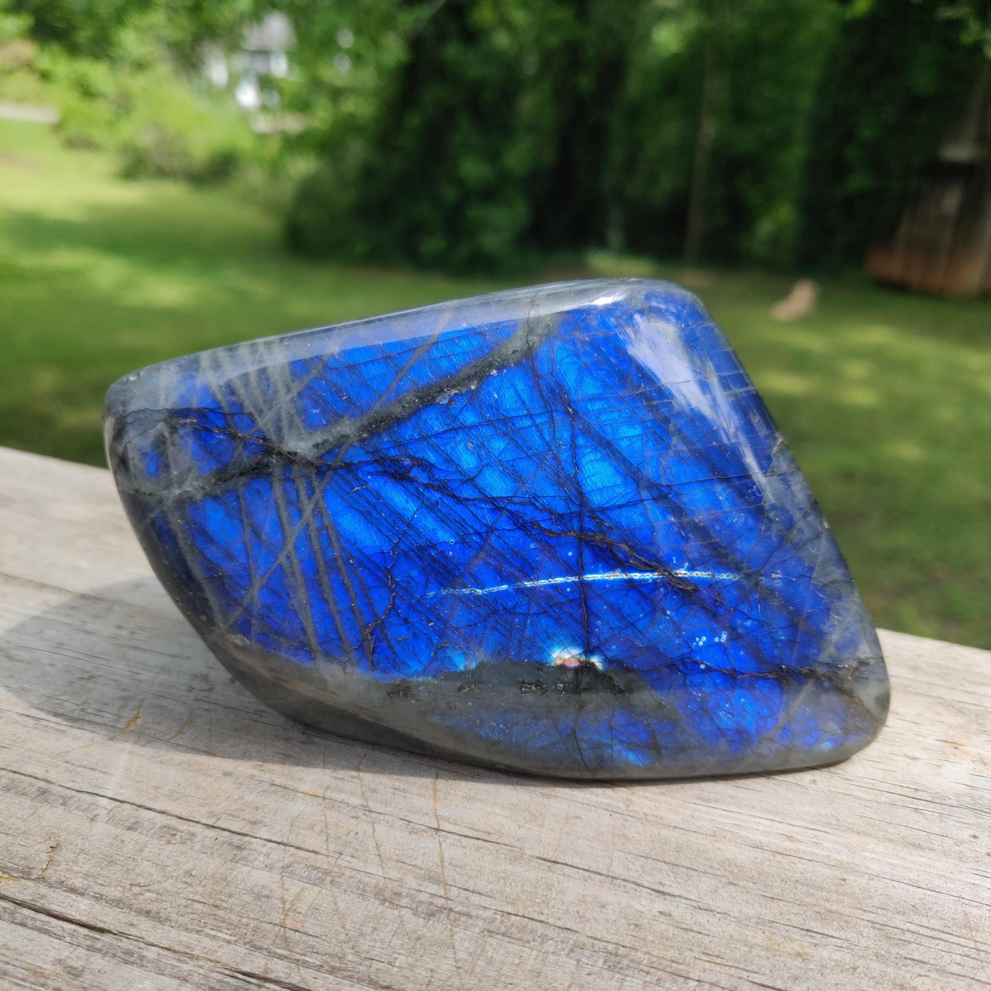 Labradorite Free Form (#M4) - Simply Affinity