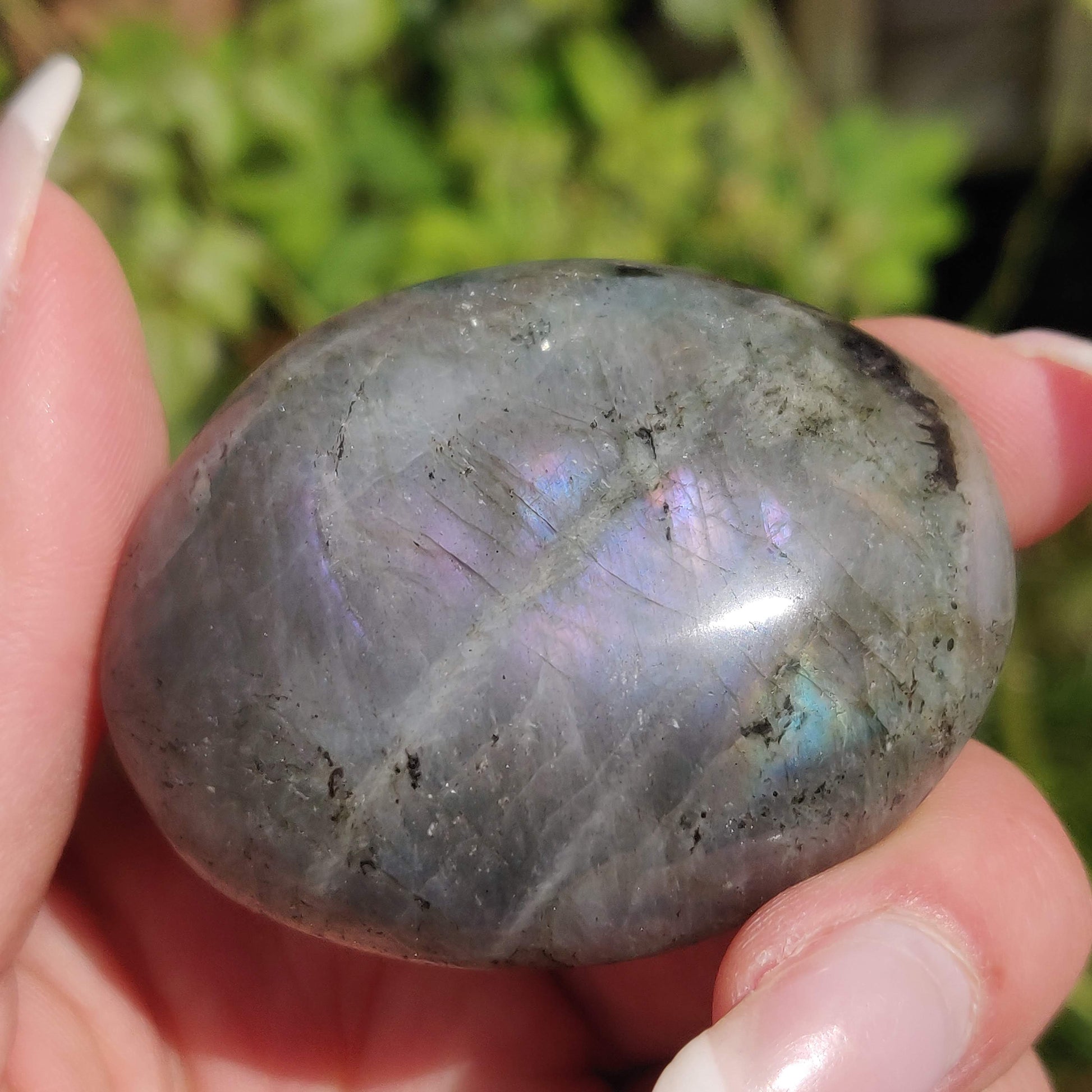 Labradorite Palm Stone (#307) - Simply Affinity