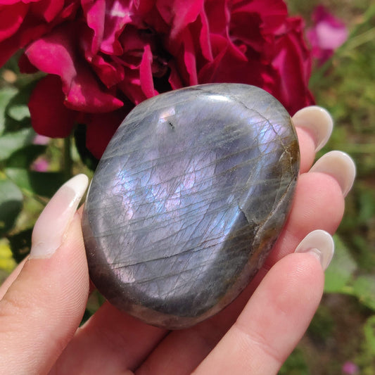 Labradorite Palm Stone (#308) - Simply Affinity