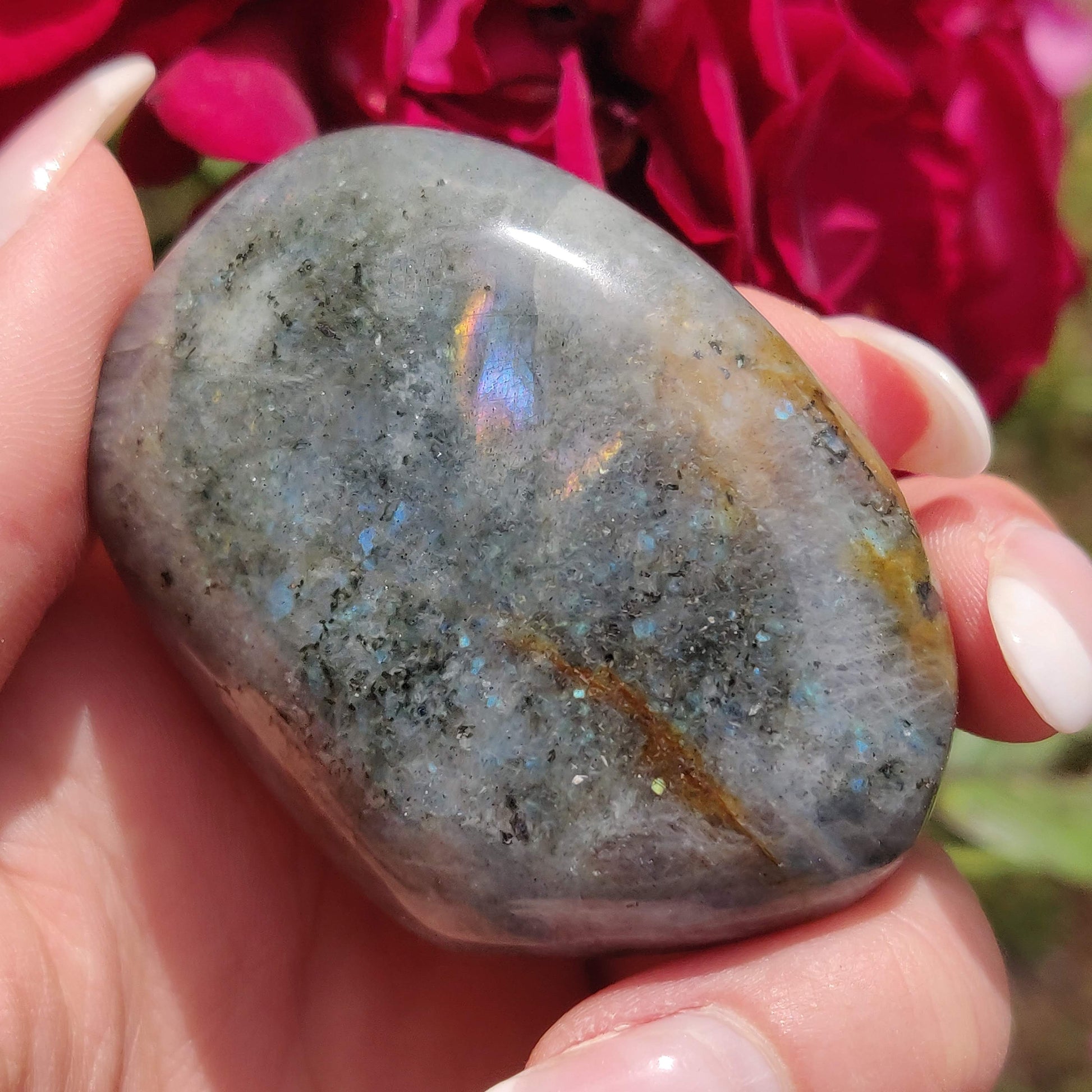 Labradorite Palm Stone (#308) - Simply Affinity